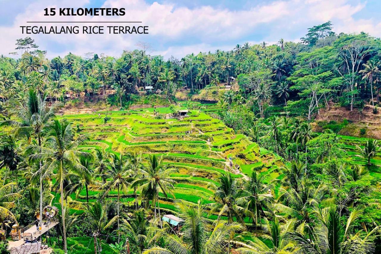 Anyuta Rai Villa Ubud Ngoại thất bức ảnh