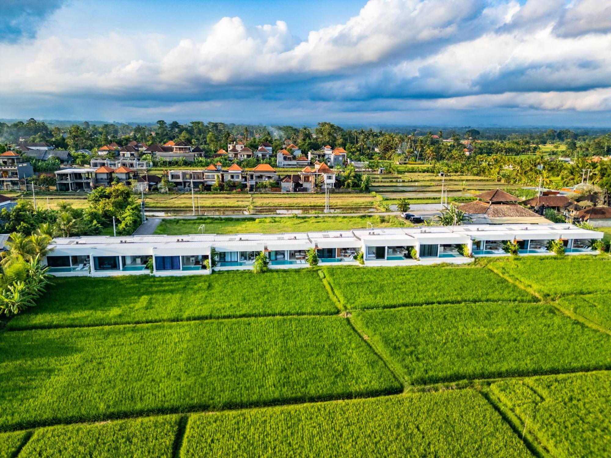 Anyuta Rai Villa Ubud Ngoại thất bức ảnh