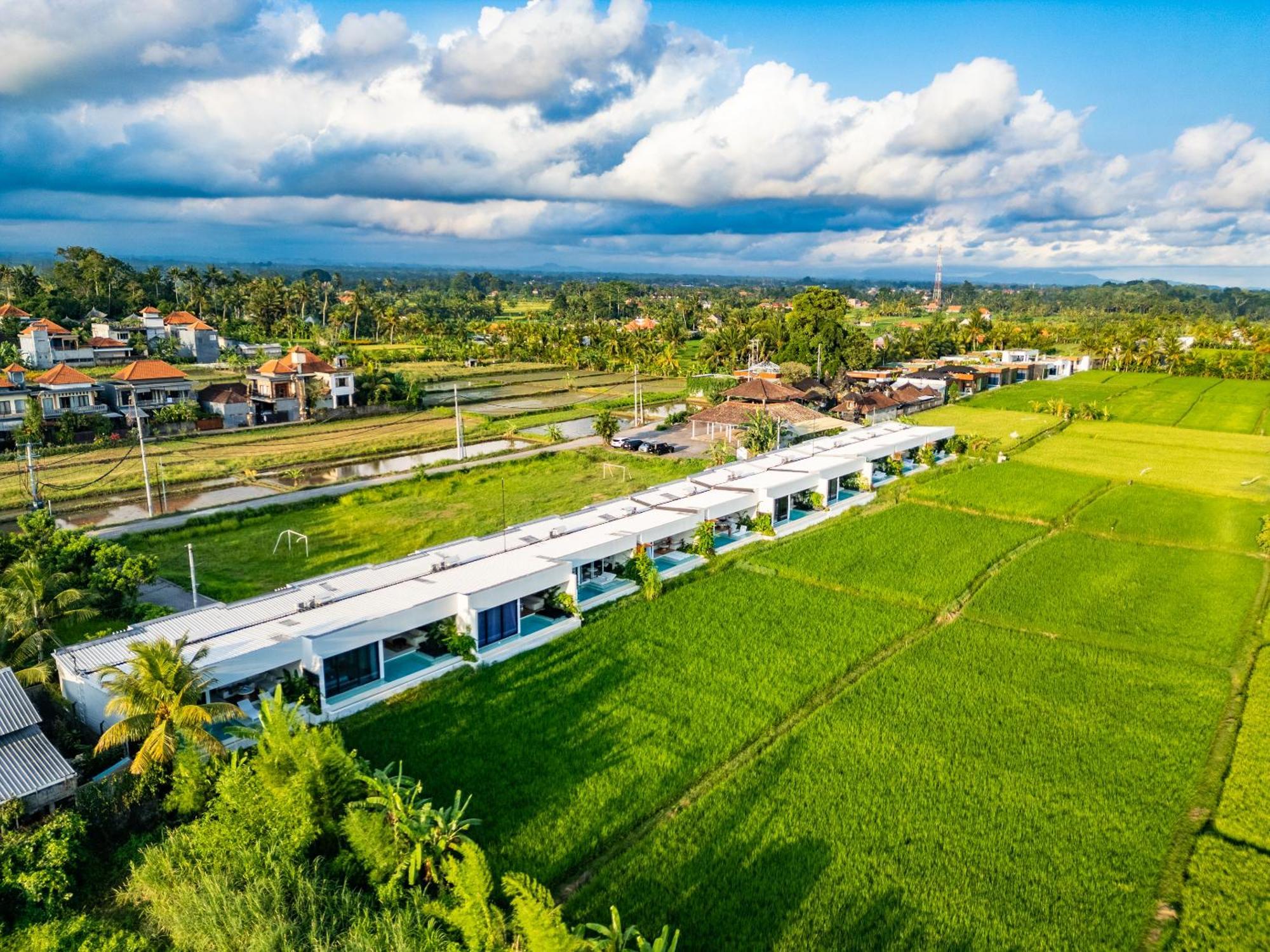Anyuta Rai Villa Ubud Ngoại thất bức ảnh